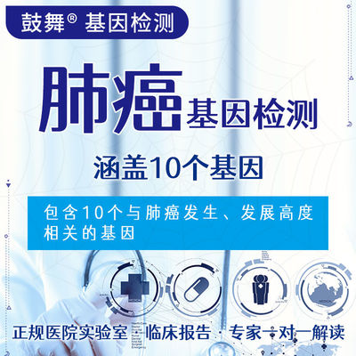 Mua NGS 10 Kiểm tra gen 10 Kiểm tra gen nhắm mục tiêu về nguy cơ ung thư phổi online manufacture